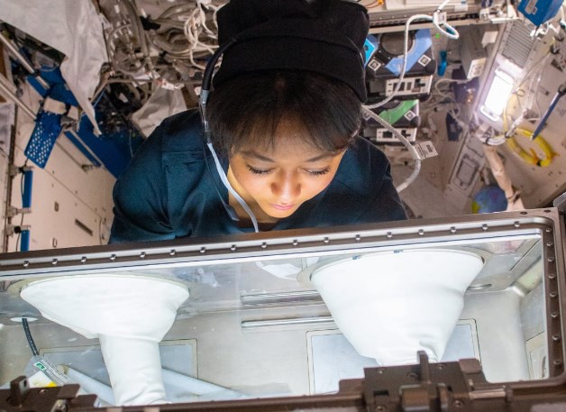 microgravity-that-rayyanah-went-to-space-to-study