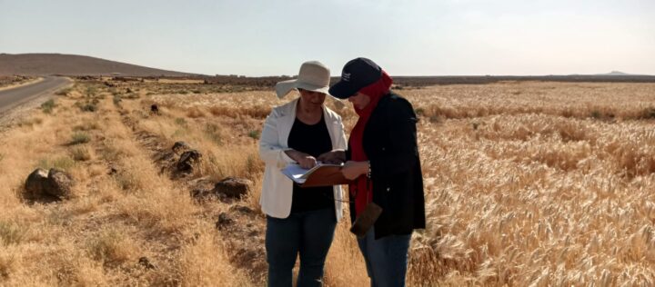 التوثيق أثناء الزيارة